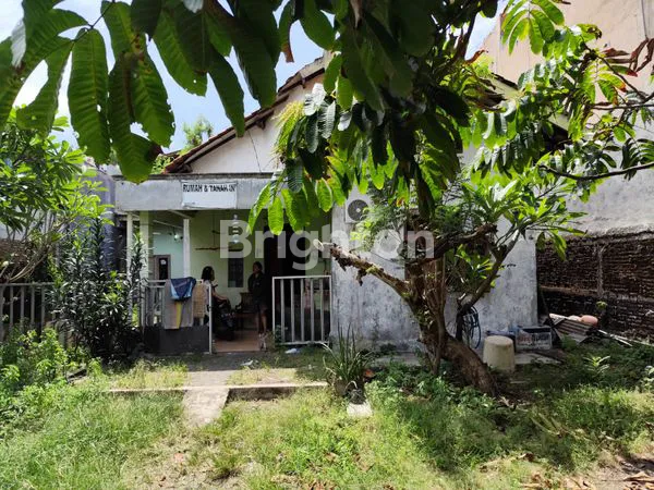 image TANAH LUAS MURAH DAN BONUS BANGUNAN DI CEMPEDAK (2)