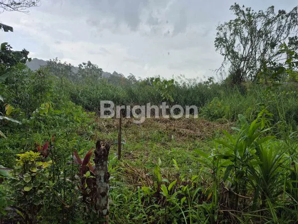 image TANAH SIAP BANGUN, DIPINGGIR JALAN UTAMA (1)