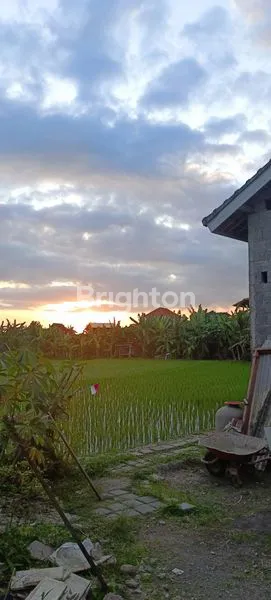 image TANAH PREMIUM 600M² VIEW SAWAH DI CANGGU, DEKAT VILLA ELITE (4)