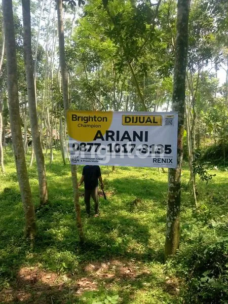 TANAH PREMIUM 1970M² DEKAT RS DAN POLITEKNIK DI TEGALREJO