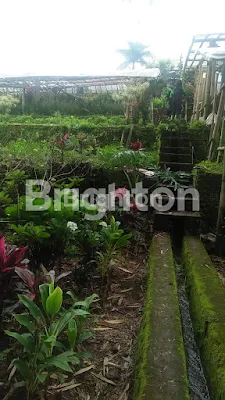 image TURUN HARGA TANAH KEBUN SUMBER GONDO BATU-MALANG (4)