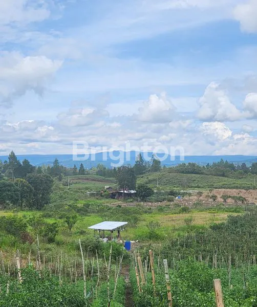 image JUAL KEBUN (6)