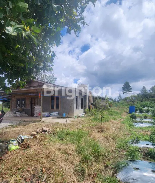 image JUAL KEBUN (4)