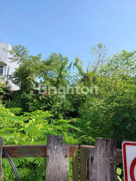 image TANAH STRATEGIS 1000 METER DI JALAN TEUKU UMAR BARAT DENPASAR DEKAT SEKOLAH BALI KIDDY (3)