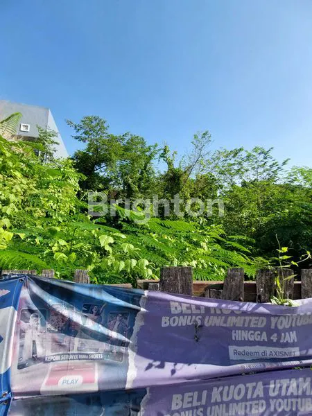 image TANAH STRATEGIS 1000 METER DI JALAN TEUKU UMAR BARAT DENPASAR DEKAT SEKOLAH BALI KIDDY (5)