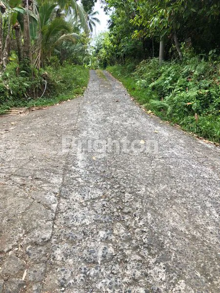 image DIJUAL TANAH PERKEBUNAN 1,5 HA DI GUNUNG SALAK, SELEMADEG TIMUR – TABANAN (1)