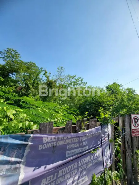 image TANAH STRATEGIS 1000 METER DI JALAN TEUKU UMAR BARAT DENPASAR DEKAT SEKOLAH BALI KIDDY (4)