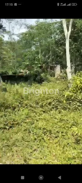 image TANAH KAVLING 130.000/M (4)