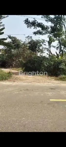 image TANAH KAVLING 130.000/M (1)