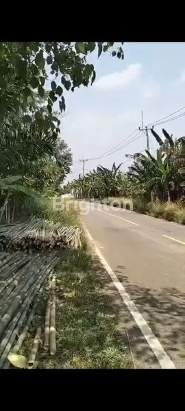 image TANAH KAVLING 130.000/M (3)