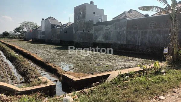 image TANAH SAWAH (SHM KERING) DI PAPAHAN KARANGANYAR  (3)