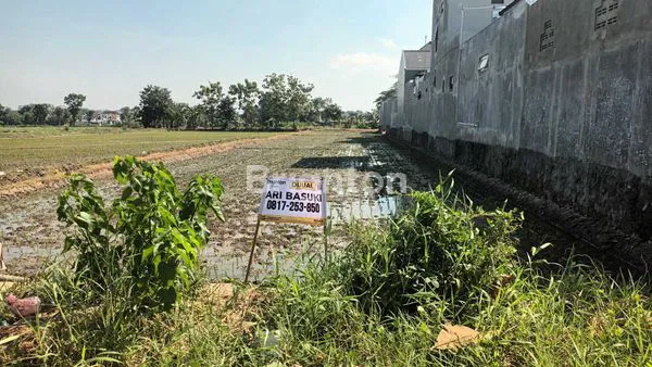 image TANAH SAWAH (SHM KERING) DI PAPAHAN KARANGANYAR  (2)
