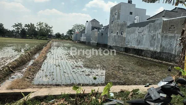 image TANAH SAWAH (SHM KERING) DI PAPAHAN KARANGANYAR  (6)
