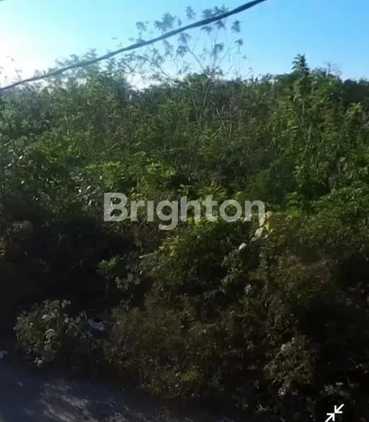 image TANAH STRATEGIS DI LABUAN SAIT 1056 M² ATAU 10 ARE (2)