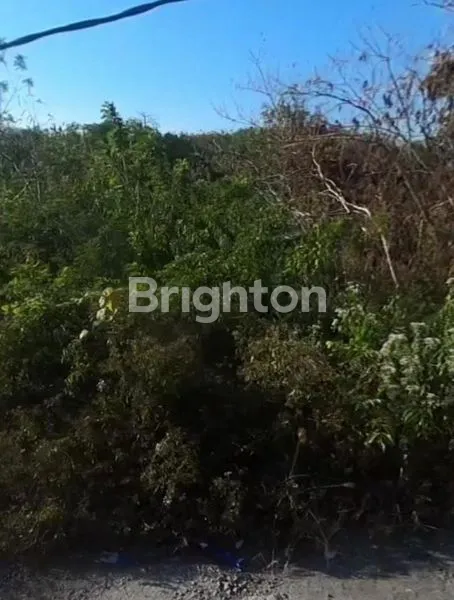 image TANAH STRATEGIS DI LABUAN SAIT 1056 M² ATAU 10 ARE (4)