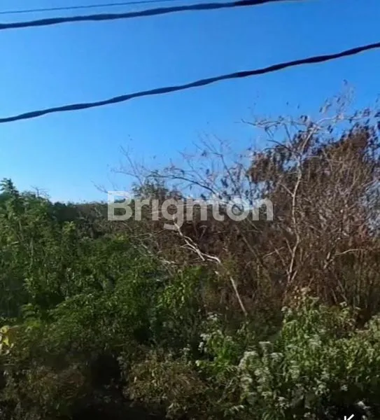 image TANAH STRATEGIS DI LABUAN SAIT 1056 M² ATAU 10 ARE (3)