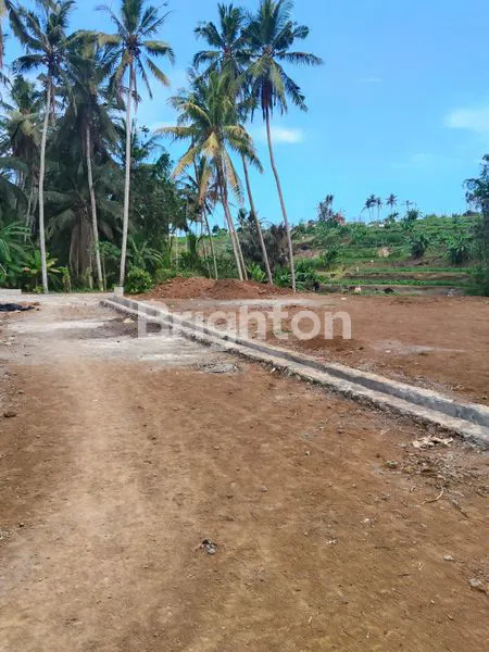 image TANAH KAVLING PREMIUM DEKAT PANTAI SABA (1)