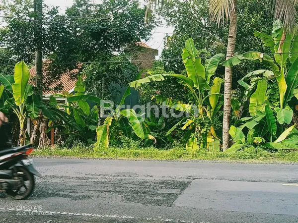 TANAH DI PINGGIRAN HARGA MENYESUAIKAN