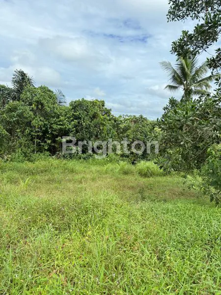 image TANAH DI JUAL COCOK UNTUK INVESTASI AKSES JALAN BESAR (5)