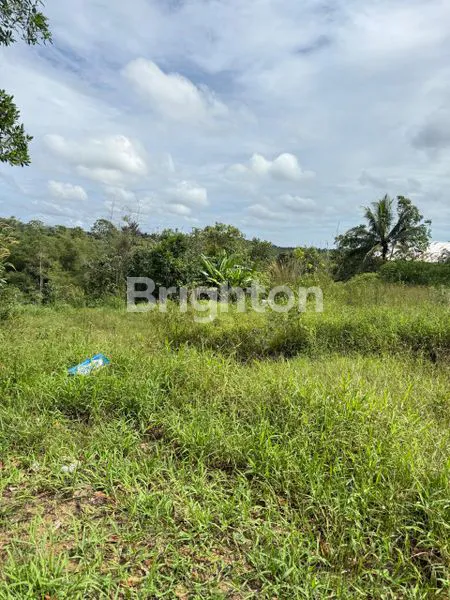 image TANAH DI JUAL COCOK UNTUK INVESTASI AKSES JALAN BESAR (7)