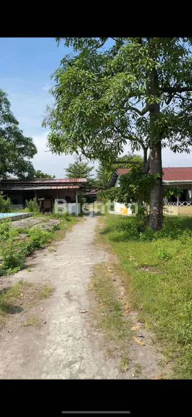 image TANAH JL SETIA BUDI HELVET KEL HELVETIA TIMUR KECAMATAN MEDAN HELVETIA KODYA MEDAN SUMUT (8)