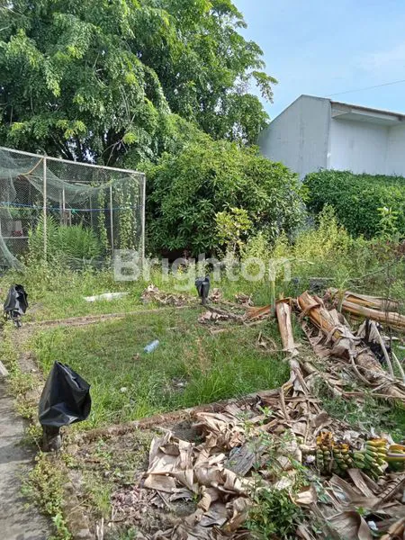 LAHAN COCOK UTK TEMPAT USAHA