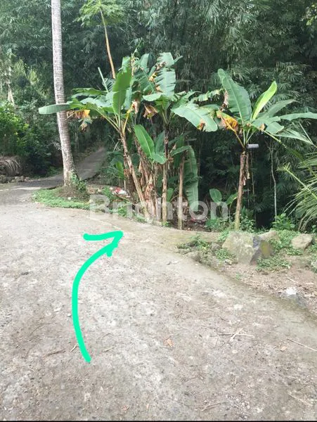 image JUAL TANAH KARANGASEM STRATEGIS (3)