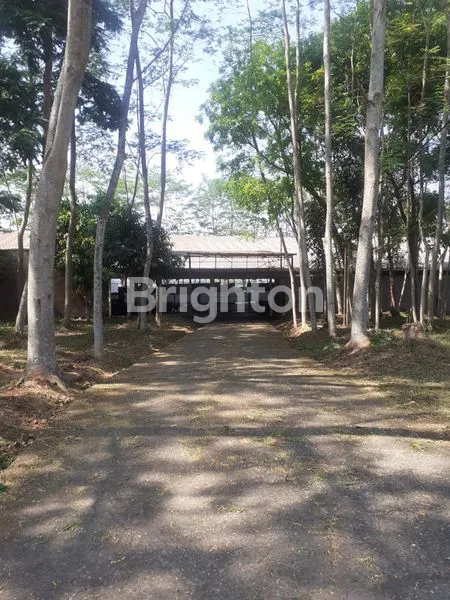 image GUDANG LUAS 1 HA DI KAB KENDAL DEKAT KOTA SEMARANG (3)