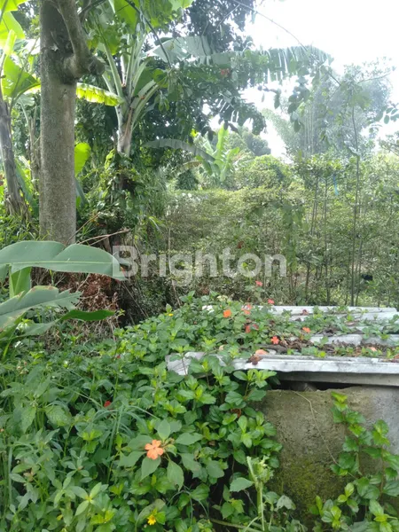 image JUAL TANAH KAVLING AREA PARONGPONG (2)