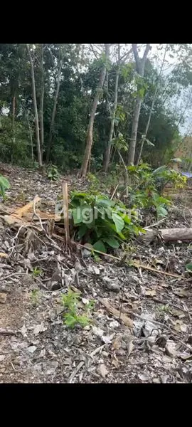 image SEWA TANAH MURAH PURI GADING (1)