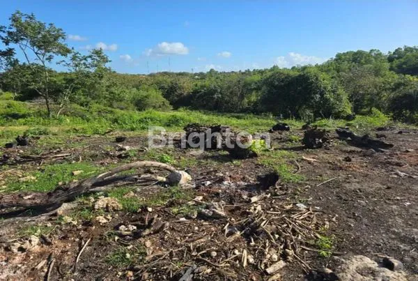 image KUTUH GUNUNG PAYUNG LAND SALE (2)