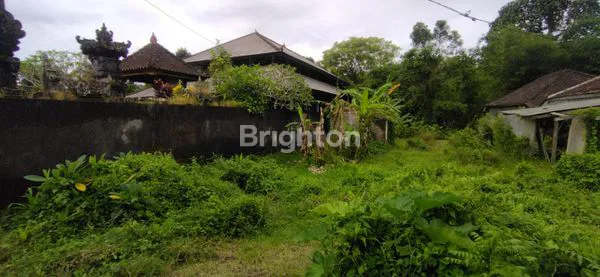 image DI JUAL TANAH STRATEGIS DI LUWUS BATURITI TABANAN (3)