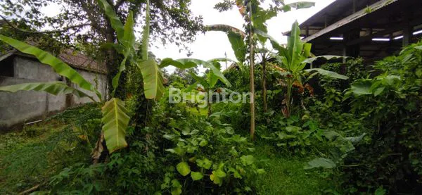 image DI JUAL TANAH STRATEGIS DI LUWUS BATURITI TABANAN (2)