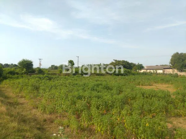 image TANAH TUBAN NOL JALAN PANTURA TRANS SBY - SEMARANG (2)