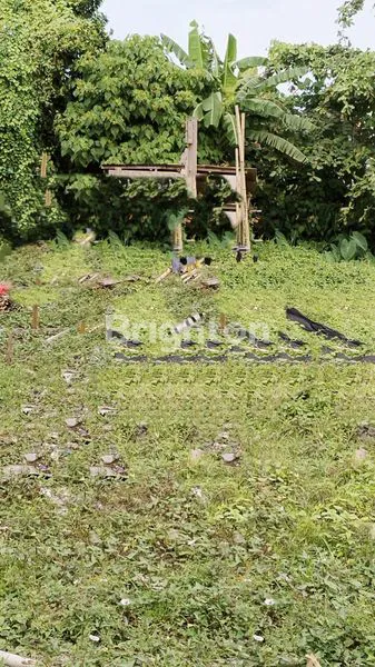 image TANAH LOKASI STRATEGIS DAN PROSPEKTIF AREA CANGGU,BADUNG-BALI (1)