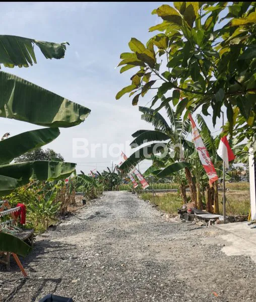 image KAVLING SIAP BANGUN DEKAT NORTHWEST (3)