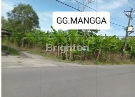 image TANAH GG.MANGGA, PERCUT, LUAS 2.1 HA STRATEGIS DEKAT CITRALAND & TOL HAJI ANIF (2)