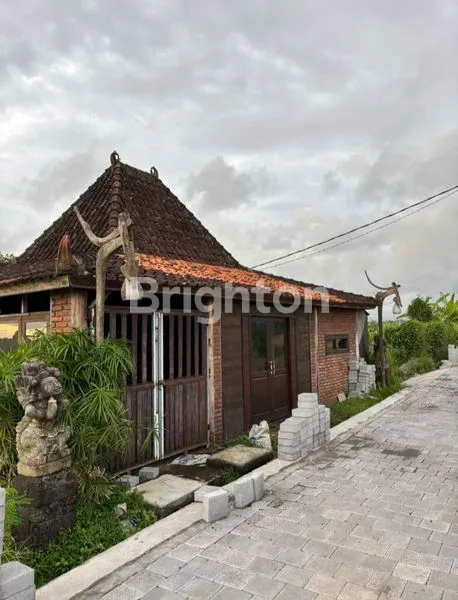 image DIJUAL TANAH PREMIUM DAERAH UBUD AREA VILLA DAN TEMPAT PARIWISATA. (1)