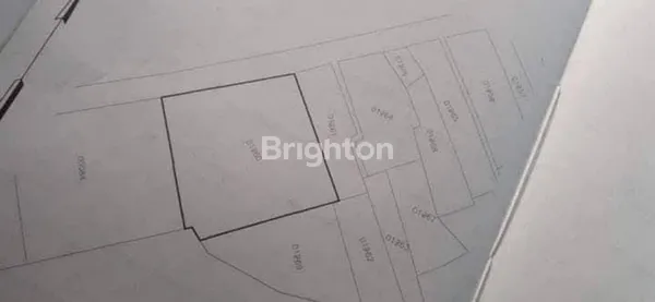 image TANAH DIJUAL DI WONOREJO PASURUAN DI RAYA MALANG-PASURUAN KOTA (2)