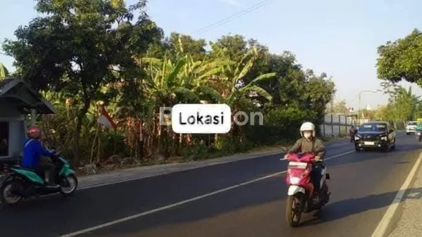 image TANAH DIJUAL DI WONOREJO PASURUAN DI RAYA MALANG-PASURUAN KOTA (1)