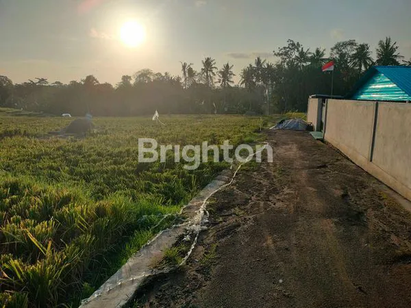 image DIJUAL TANAH CEMAGI CANGGU (1)