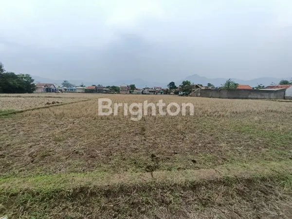 image TANAH STRATEGIS 7372M² DI BALEENDAH, COCOK UNTUK PERUMAHAN (5)