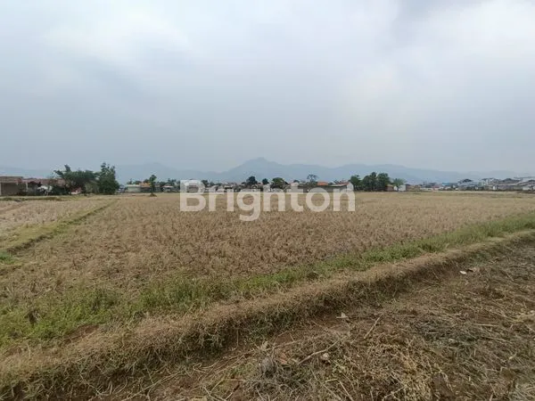 image TANAH STRATEGIS 7372M² DI BALEENDAH, COCOK UNTUK PERUMAHAN (6)