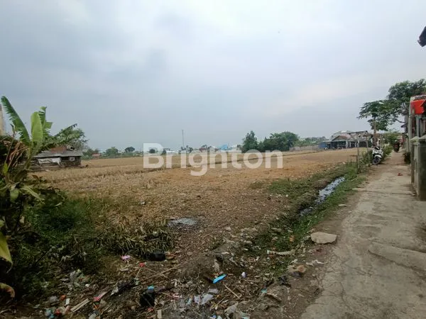 image TANAH STRATEGIS 7372M² DI BALEENDAH, COCOK UNTUK PERUMAHAN (4)