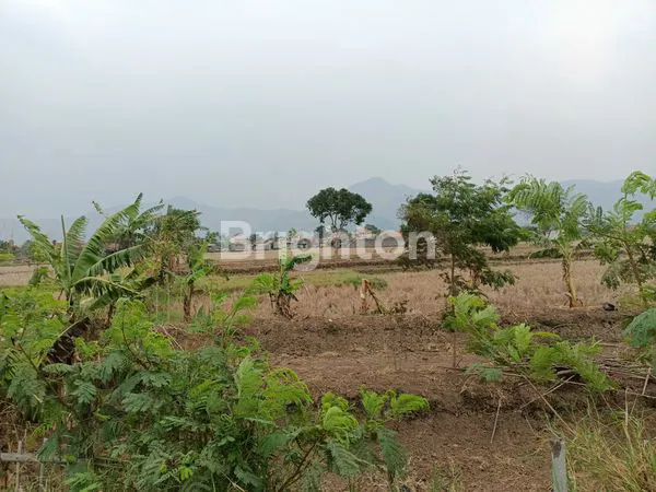 image TANAH STRATEGIS 7372M² DI BALEENDAH, COCOK UNTUK PERUMAHAN (7)