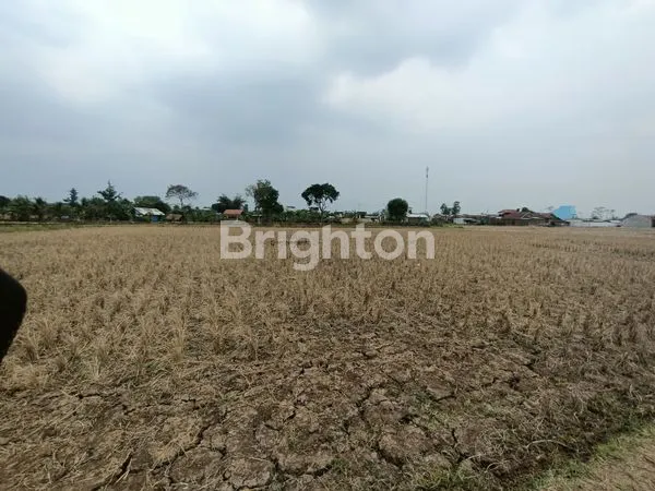 image TANAH STRATEGIS 7372M² DI BALEENDAH, COCOK UNTUK PERUMAHAN (3)