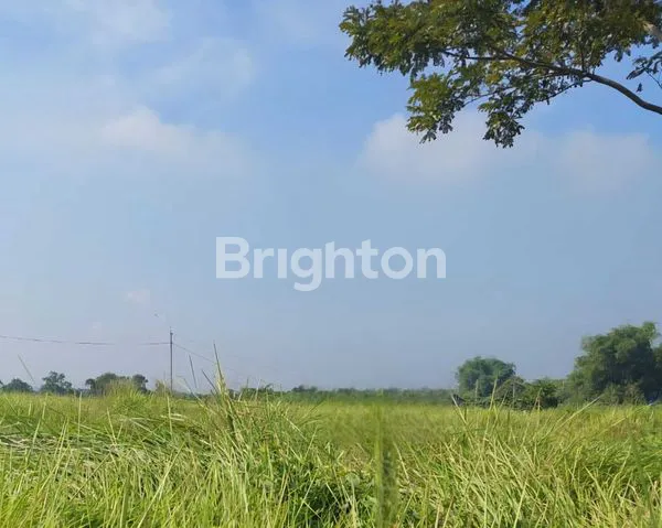 Gambar Property KAVLING PREMIUM, DI JALAN BOULEVARD, SIAP BANGUN DI GREENLAND MENGANTI GRESIK