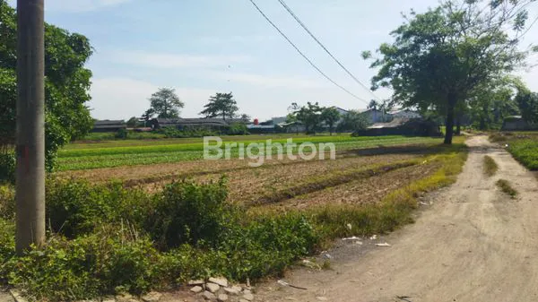 image SERIUS,TANAH RAWA KUCING 32000, TANGERANG  (1)