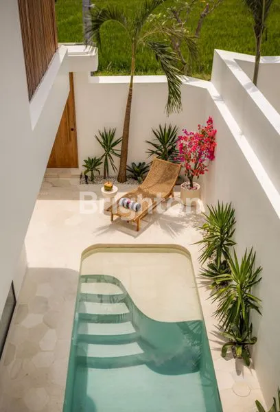 image VILLA 2 KAMAR DI CANGGU BALI  (6)