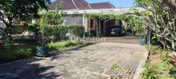 image RUMAH DENGAN KEBUN LUAS (3)